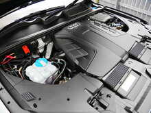 Audi Q7 3.0 TDI V6 S line SUV 5dr Diesel Tiptronic quattro Euro 6 (s/s) (272 ps)