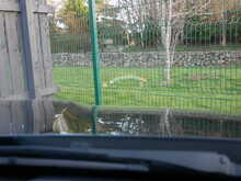 BMW M3 3.0 BiTurbo Saloon DCT Euro 6 (s/s)