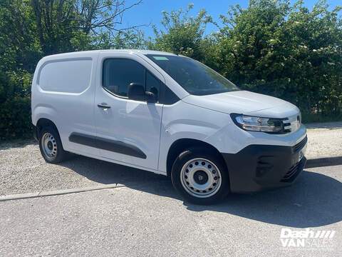 1.5 1000 Professional Panel Van Euro 6 (s/s) (100 ps)