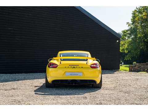 2015 Porsche 981 GT4 (12)