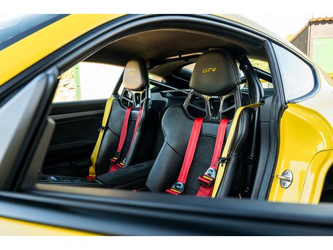 2015 Porsche 981 GT4 (12)