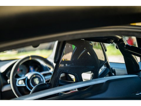 2015 Porsche 981 GT4 (12)
