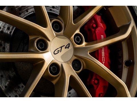 2019 Porsche 718 Cayman GT4 Manual (31)