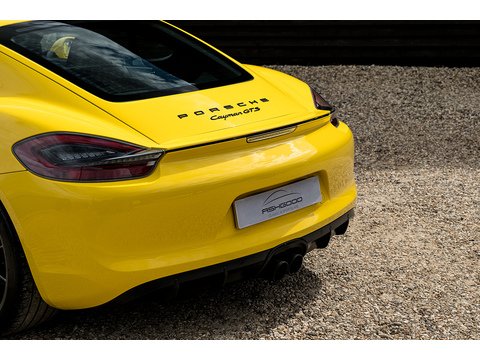 3.4 981 Cayman GTS PDK (28)