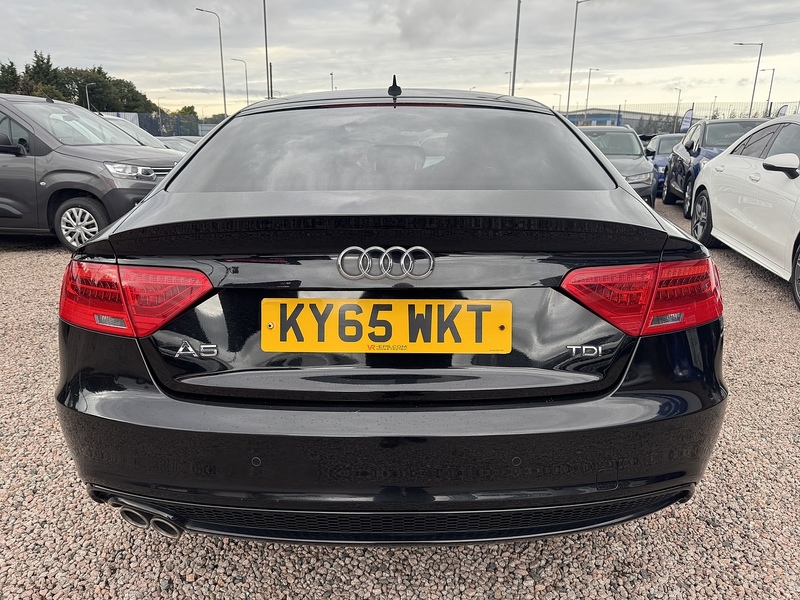 Audi A5 TDI Black Edition Plus - U2554