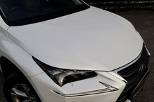 Lexus NX300h Premier Full Lexus Main Dealer + Lexus Warranty + Pano Roof - Thumb 13