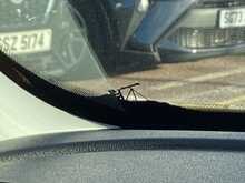 Jeep Avenger Summit - U43993