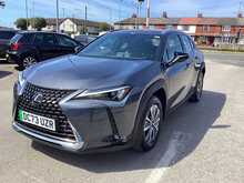 Lexus UX 300e - U44511