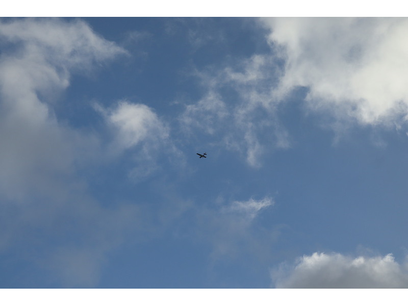 Ford Transit Connect 200 EcoBlue Leader - U1616