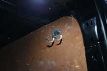 Ford Transit Custom 320 EcoBlue Limited 