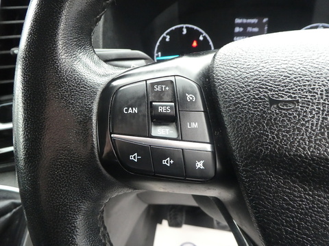 2.0 300 EcoBlue Limited Panel Van 5dr Diesel Manual L2 H1 Euro 6 (130 ps)