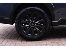 Subaru Outback Field