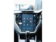 Subaru Outback Field