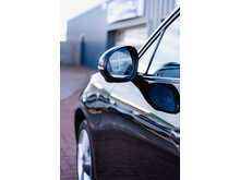 GWM Funky Cat First Edition Automatic