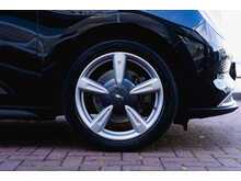 GWM Funky Cat First Edition Automatic