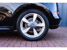 GWM Funky Cat First Edition Automatic