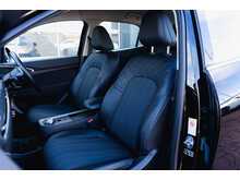 GWM Funky Cat First Edition Automatic