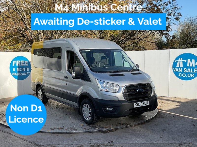 Ford 350 EcoBlue Trend 12 Seater