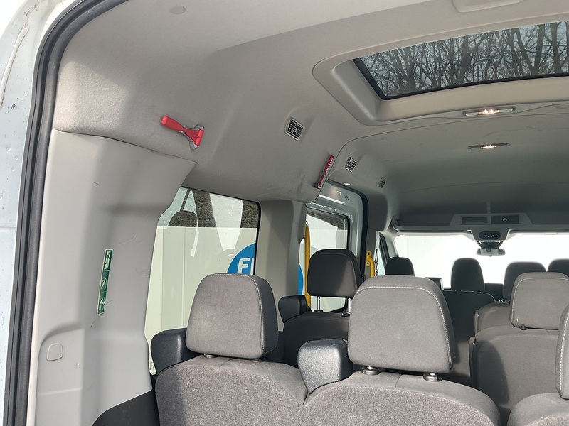 Ford 350 EcoBlue Trend 12 Seater