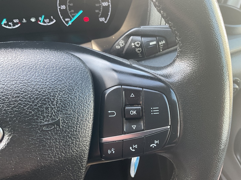Ford 350 EcoBlue Trend LWB M/R Euro 6