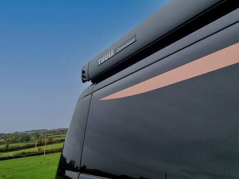 Robeta Apollo  - N447