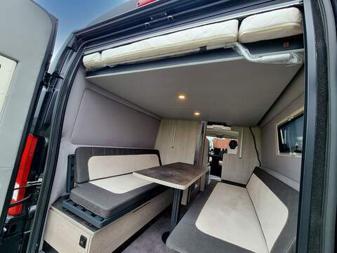 Robeta Apollo  - N447