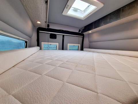 Robeta Apollo  - N447