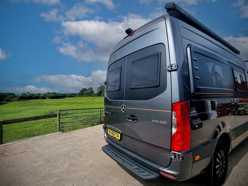 Robeta Adonis  - N472