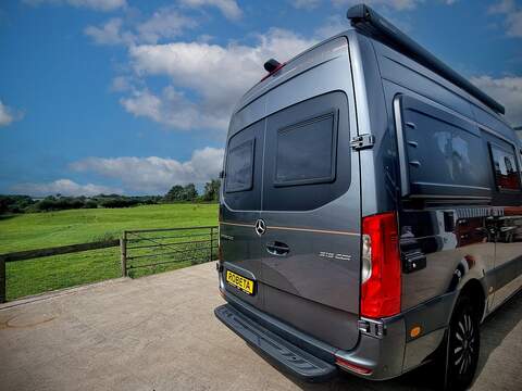 Robeta Adonis  - N472