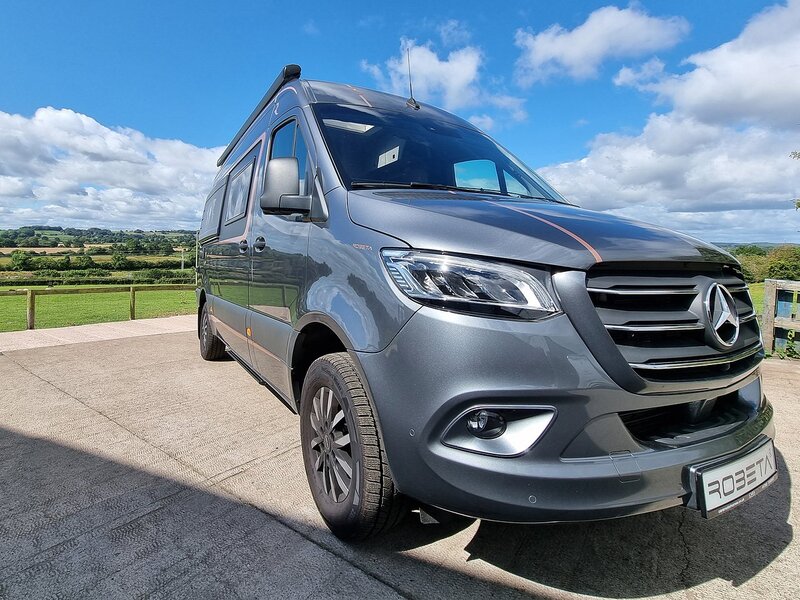 Robeta Adonis  - N472