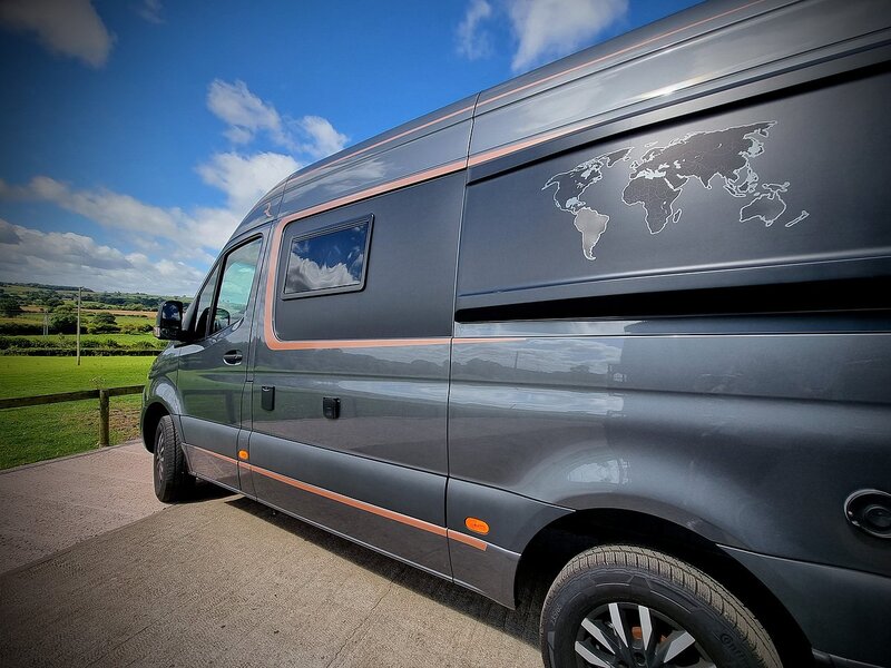 Robeta Adonis  - N472