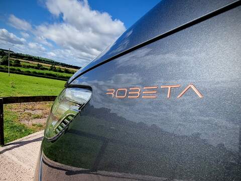 Robeta Adonis  - N472