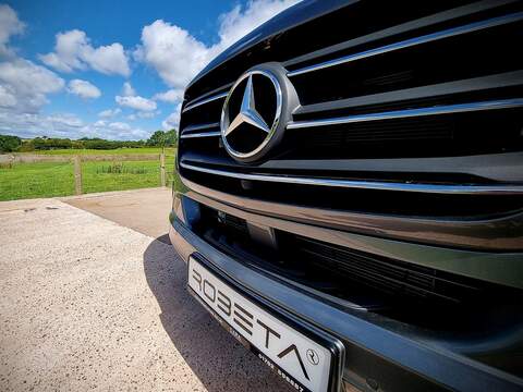 Robeta Adonis  - N472