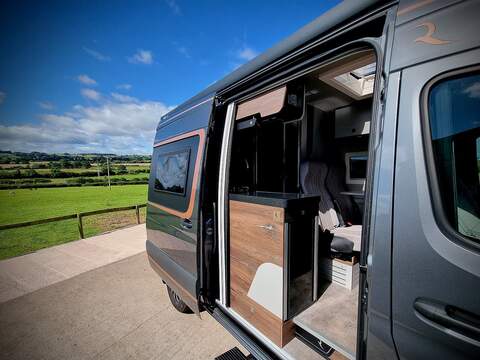 Robeta Adonis  - N472