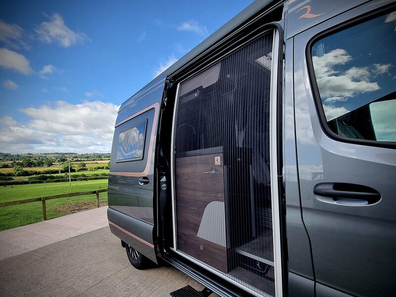 Robeta Adonis  - N472