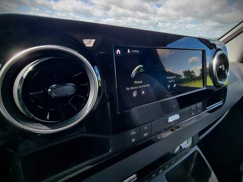 Robeta Adonis  - N472