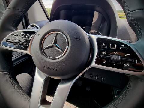 Robeta Adonis  - N472