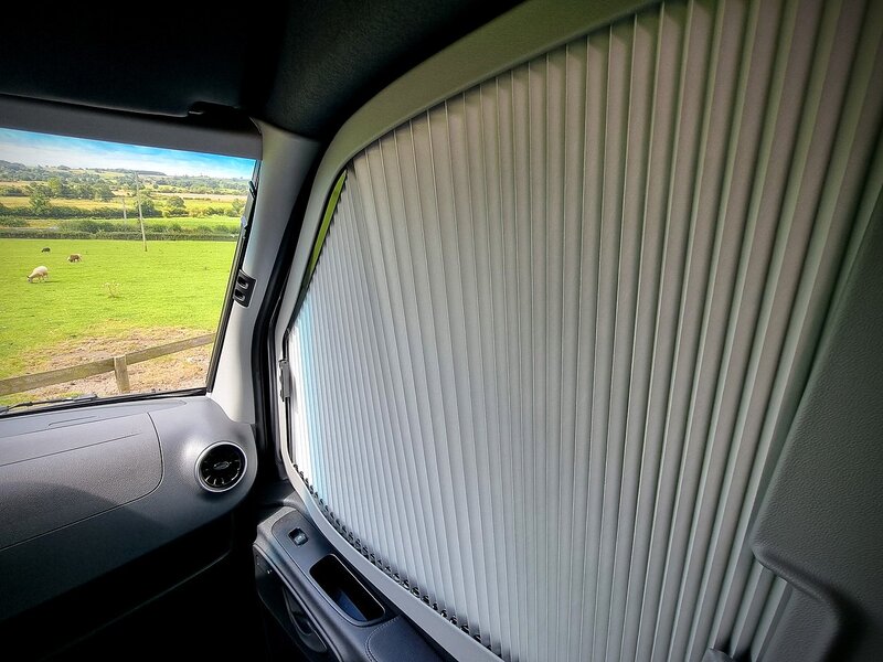 Robeta Adonis  - N472