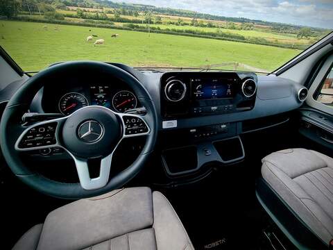 Robeta Adonis  - N472