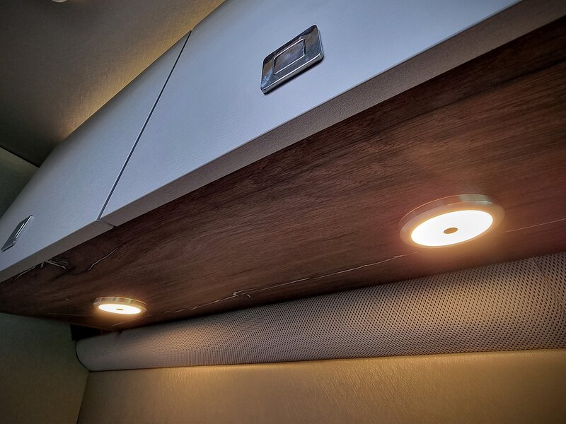 Robeta Adonis  - N472