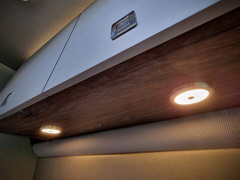 Robeta Adonis  - N472