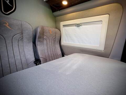 Robeta Adonis  - N472