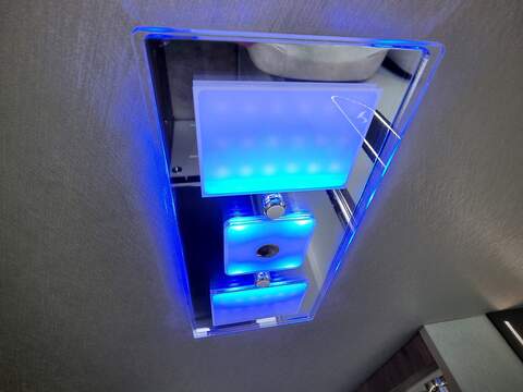 Robeta Adonis  - N472