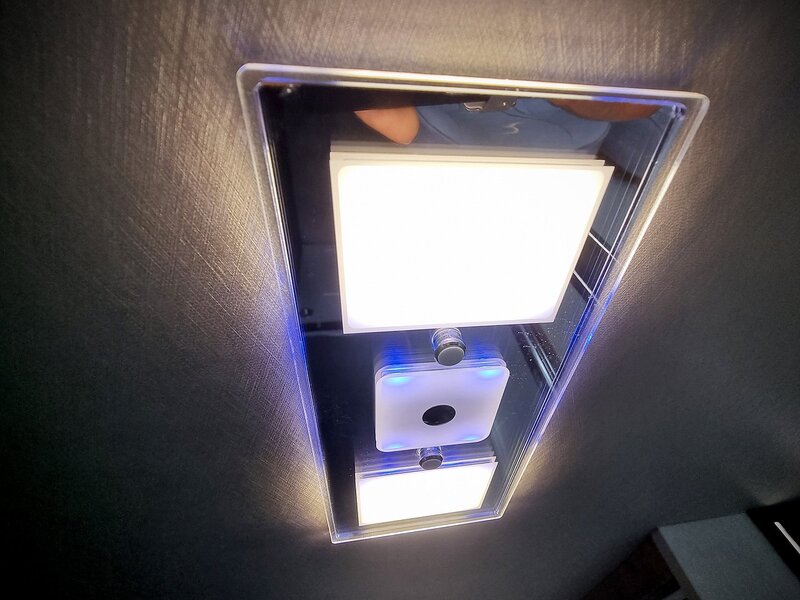 Robeta Adonis  - N472