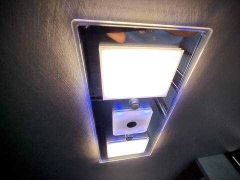 Robeta Adonis  - N472