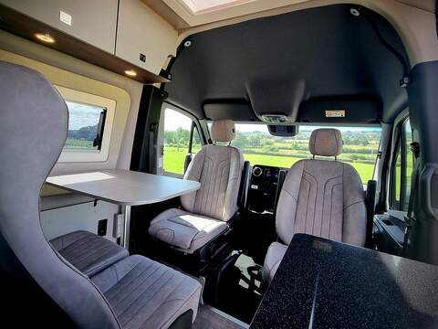 Robeta Adonis  - N472