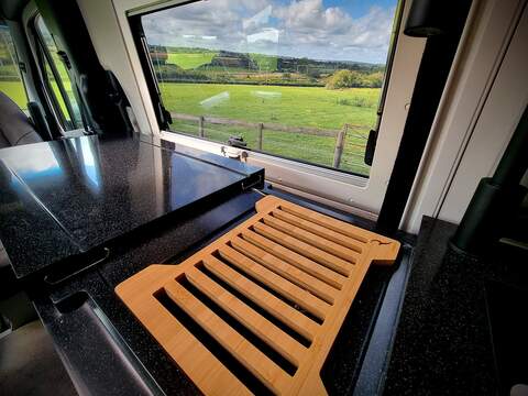 Robeta Adonis  - N472