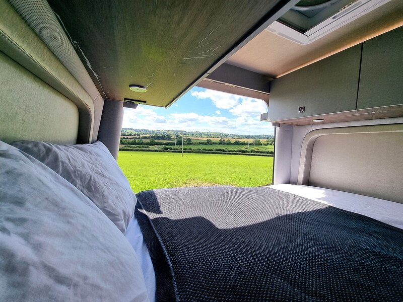 Robeta Adonis  - N472