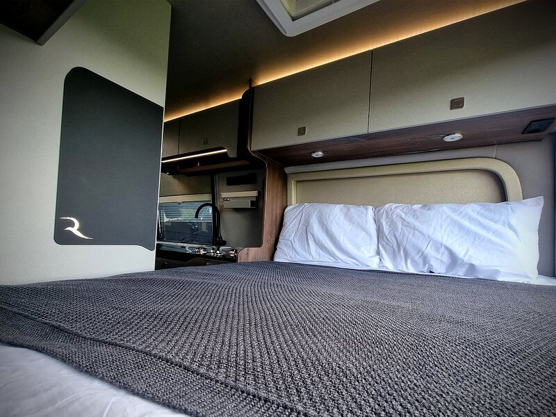 Robeta Adonis  - N472