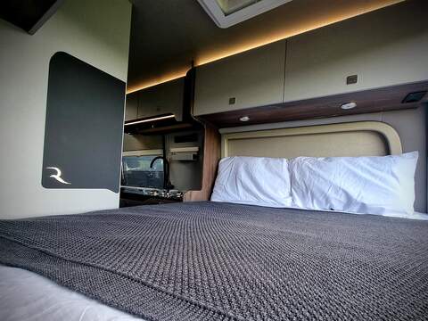 Robeta Adonis  - N472